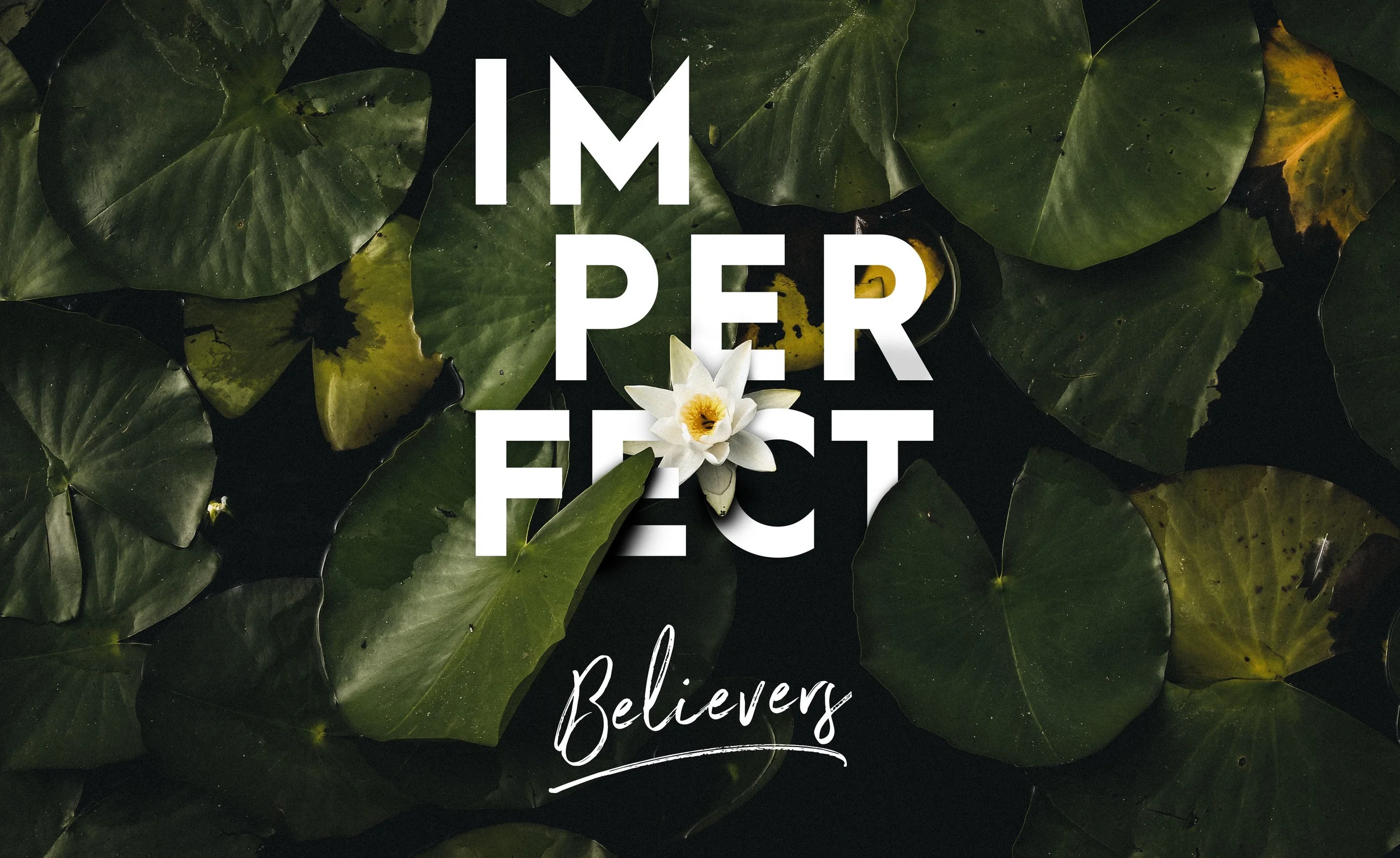 Imperfect+Believers2.jpg