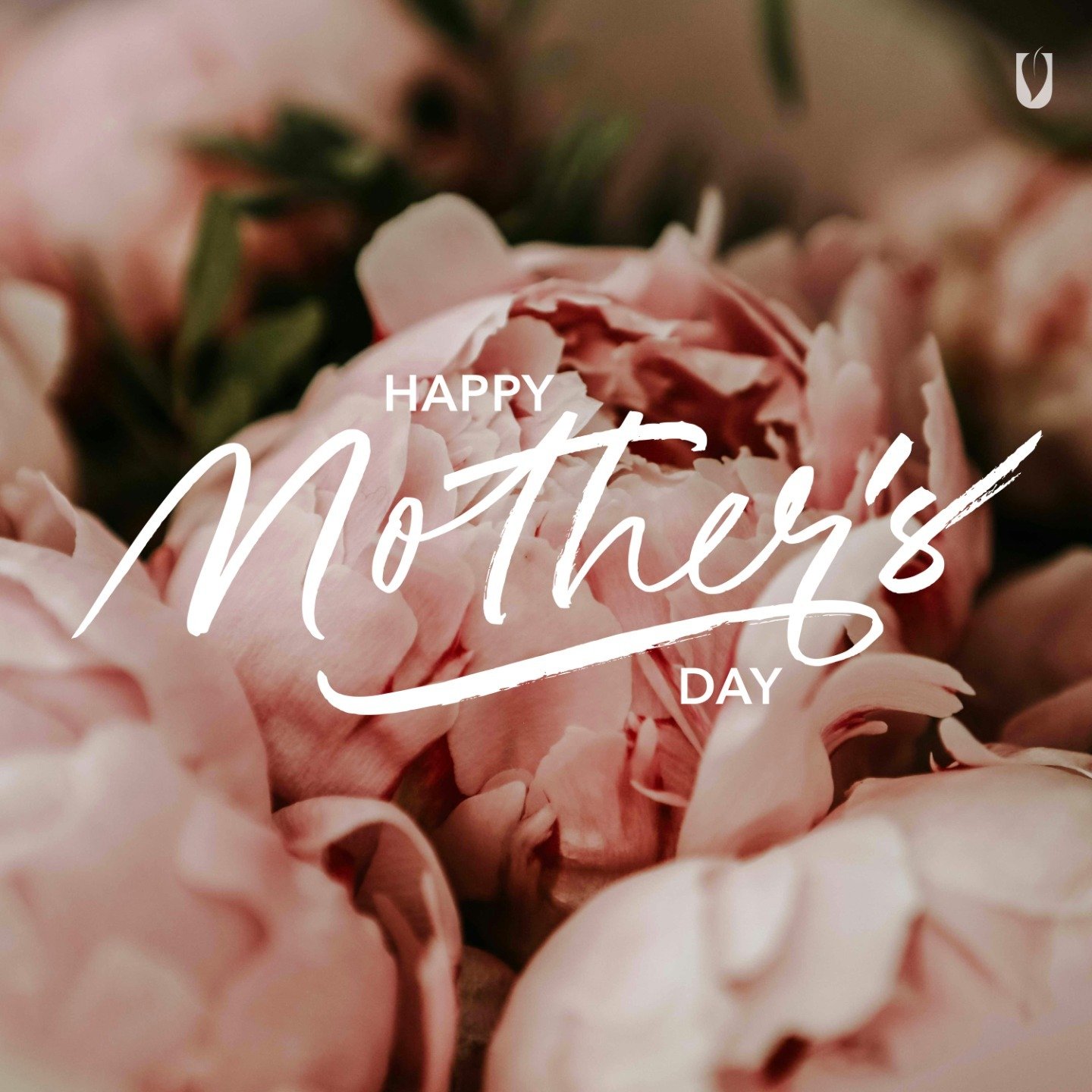 🌸🌷 Happy Mother's Day to all the incredible moms in our community! 🌷🌸

Today, we're celebrating YOU and all the love, dedication, and kindness you bring into our lives every single day. 💖 Thank you for the countless sacrifices, the endless suppo