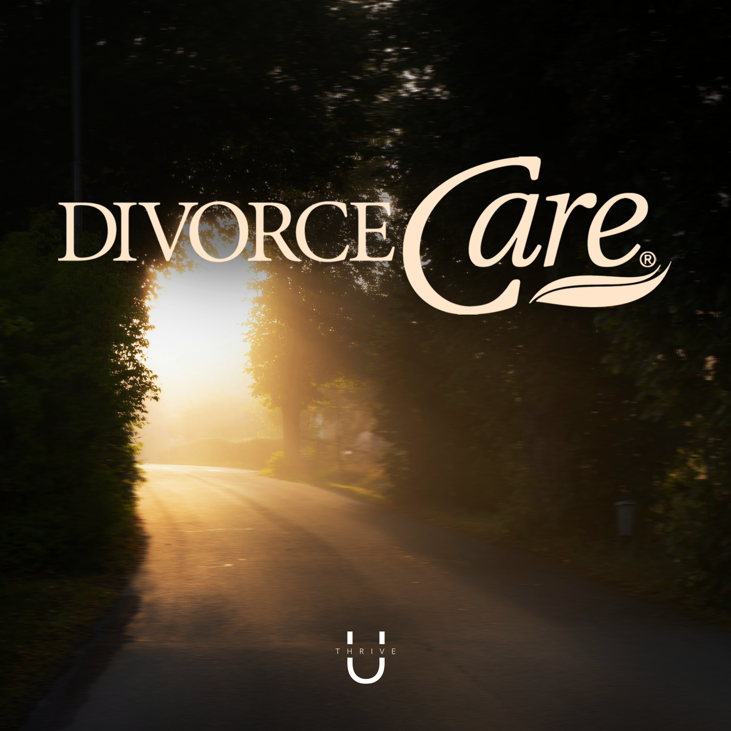 Divorce Care