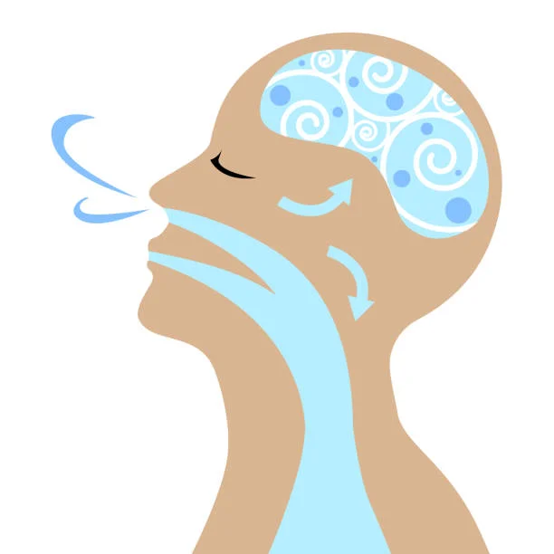 istockphoto-926051092-612x612.jpg
