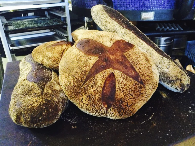 housemadebread.jpg