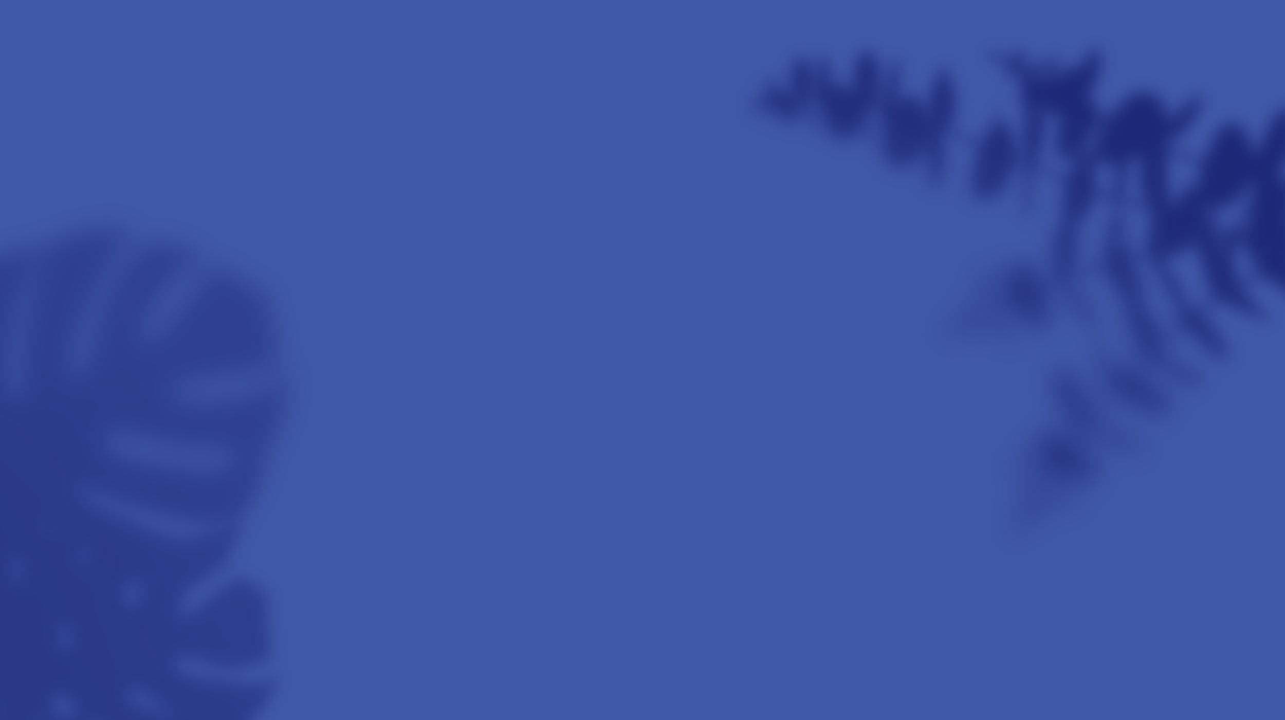 Screen Shot 2021-03-25 at 11.36.56 AM.png