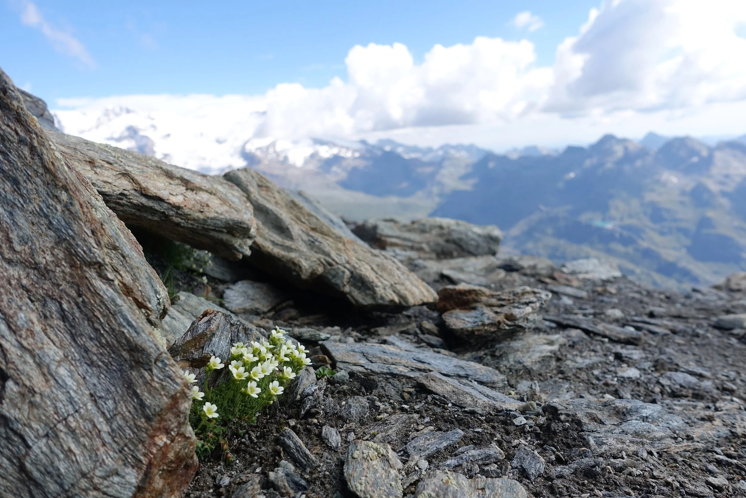  Testa Grigia summit, Valle d’Aosta, Italy (elev. 3300m). 