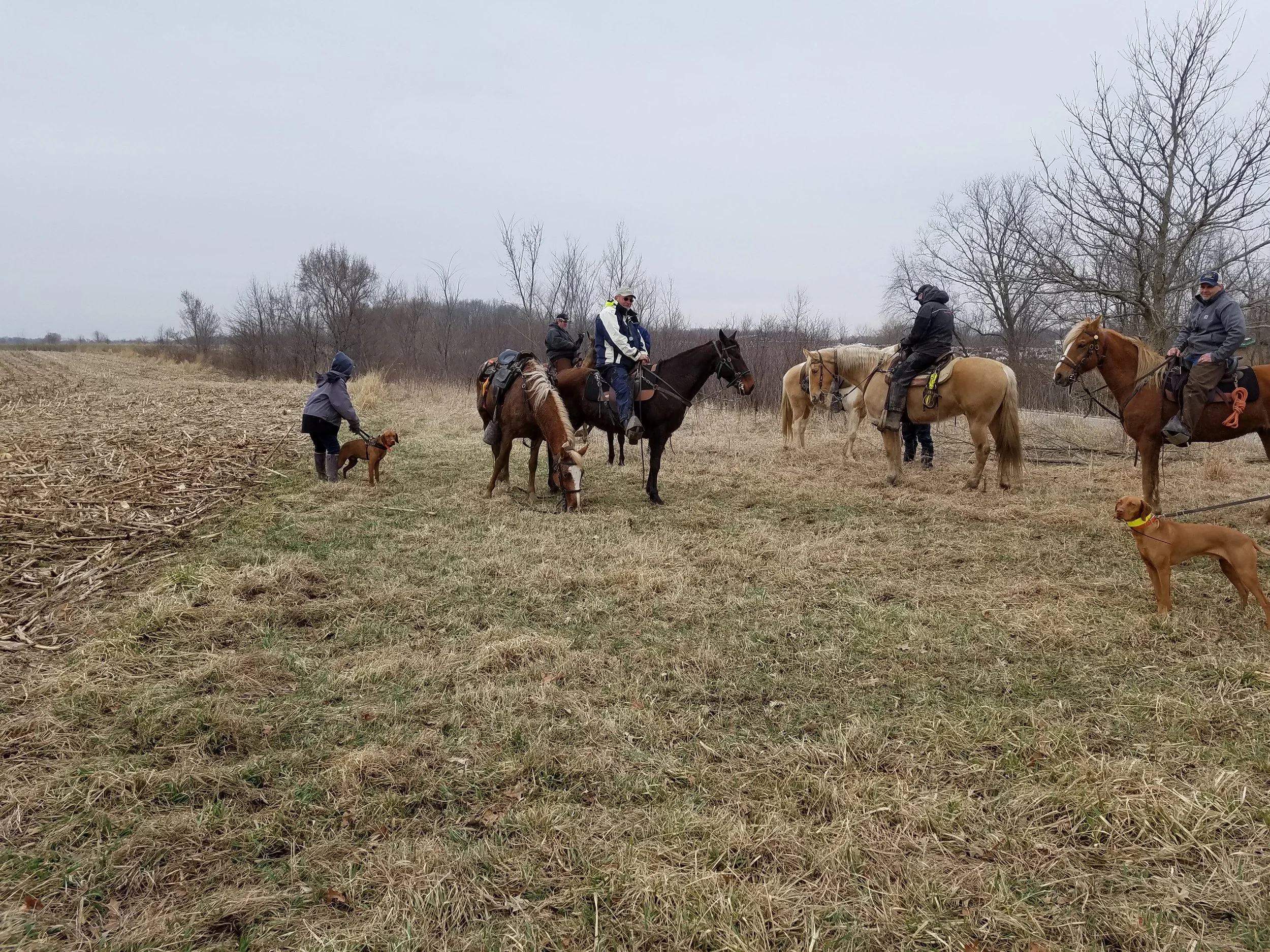20190329_132513.jpg