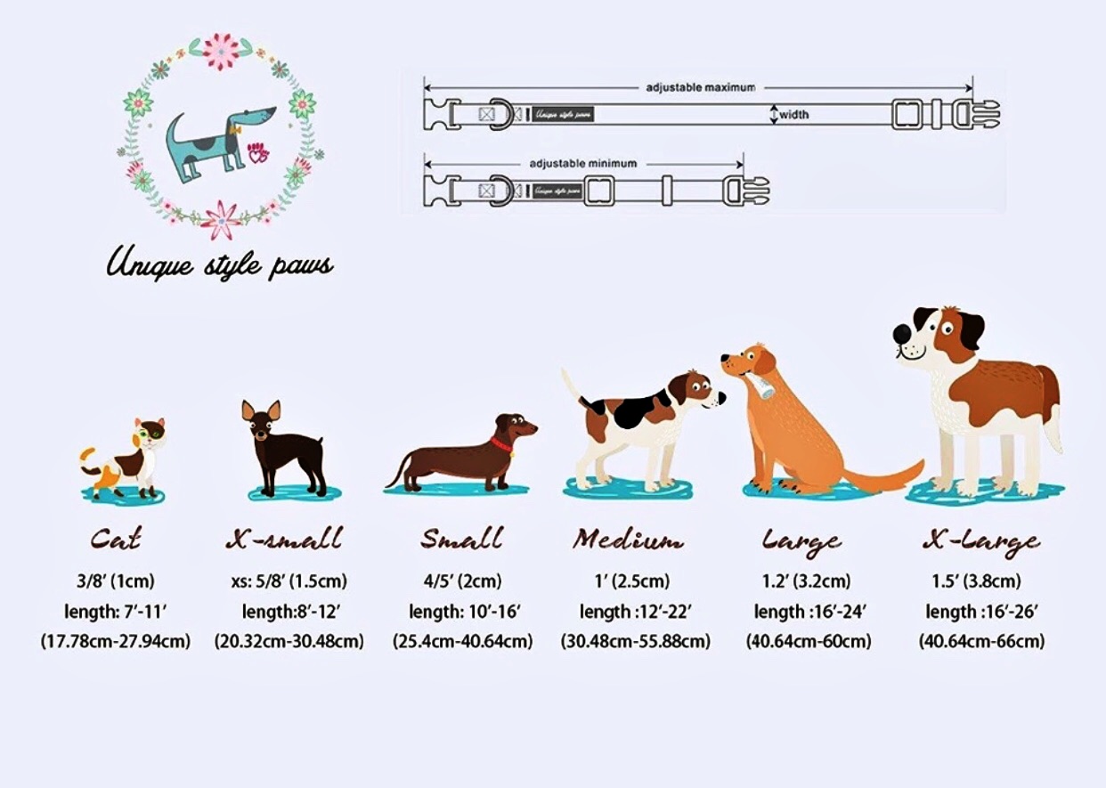 dog6.jpg