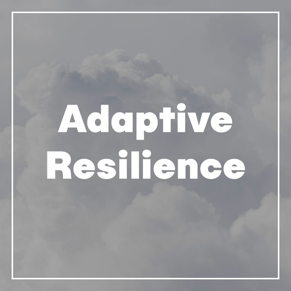 05_AdaptiveResilience.png