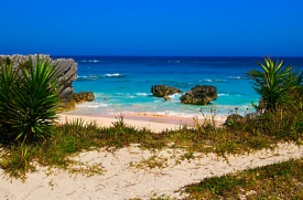 STJOHN.jpg