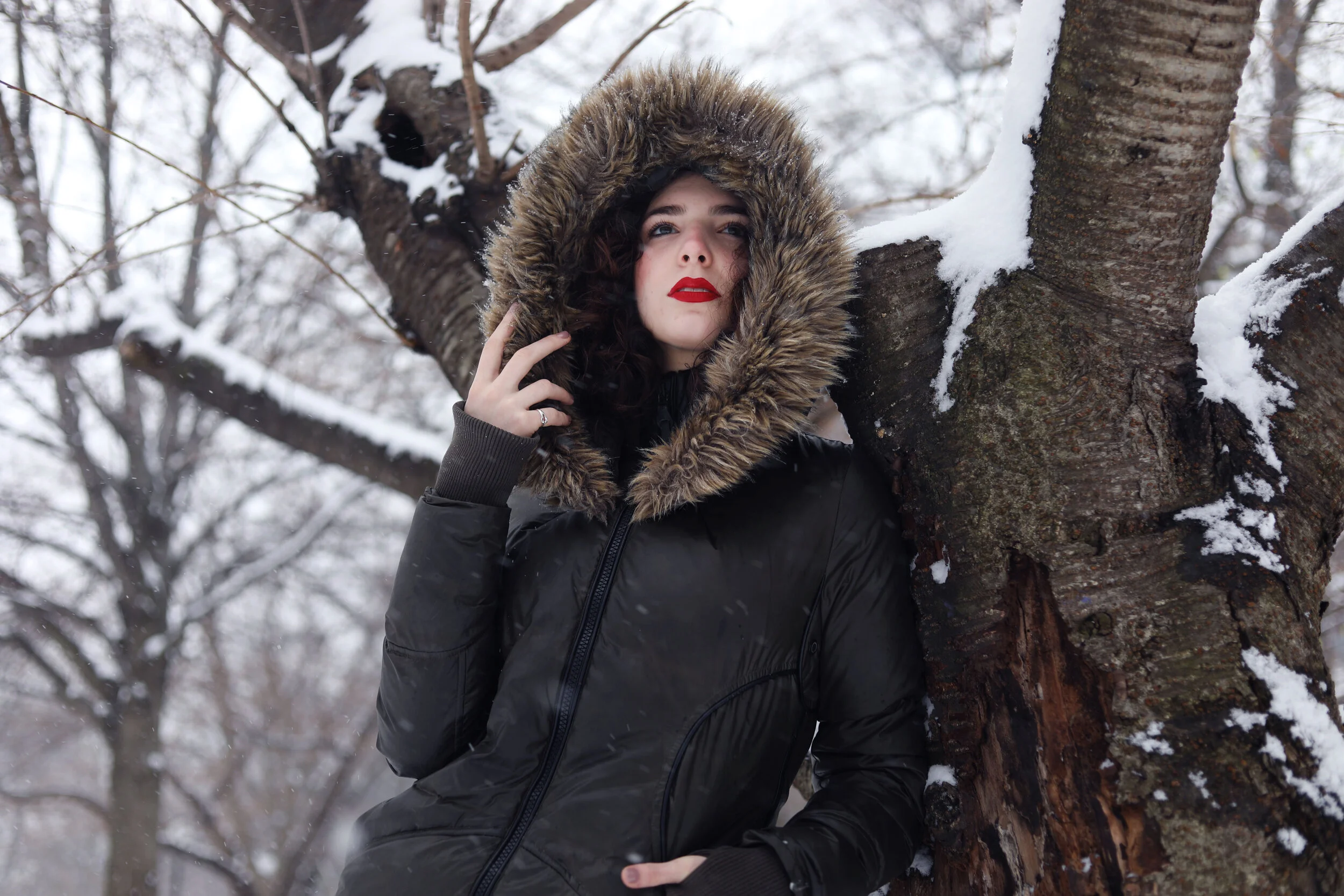 winter5.jpg