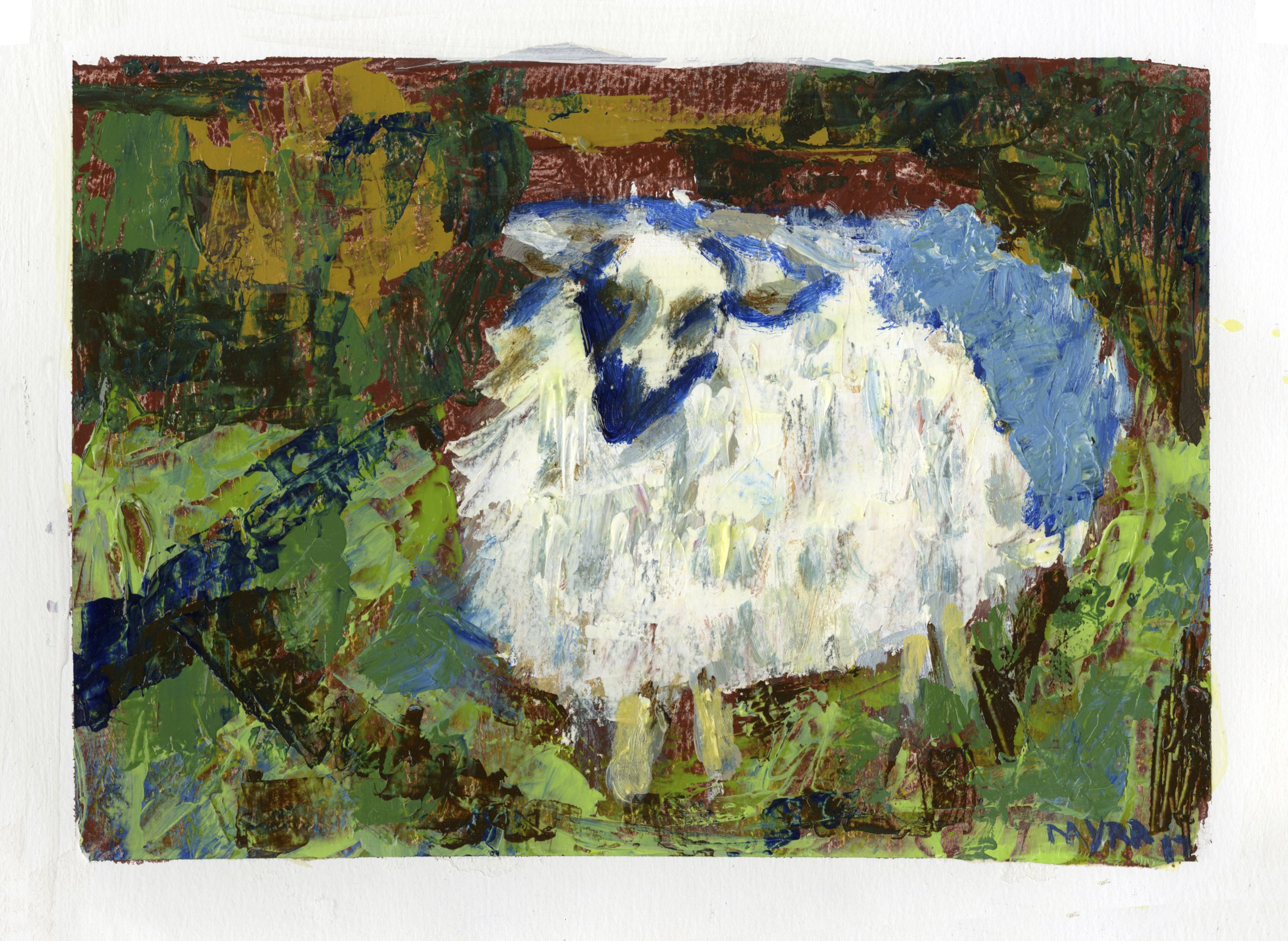 Dingle Sheep.jpg