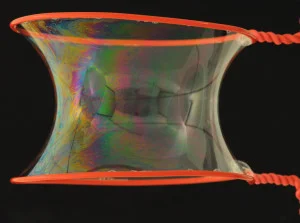 catenoid.jpg