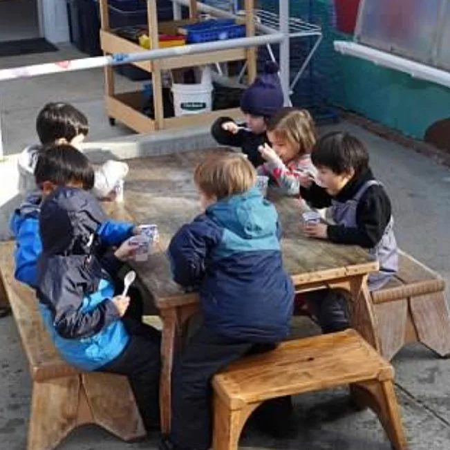 Lunch Bunch.jpg