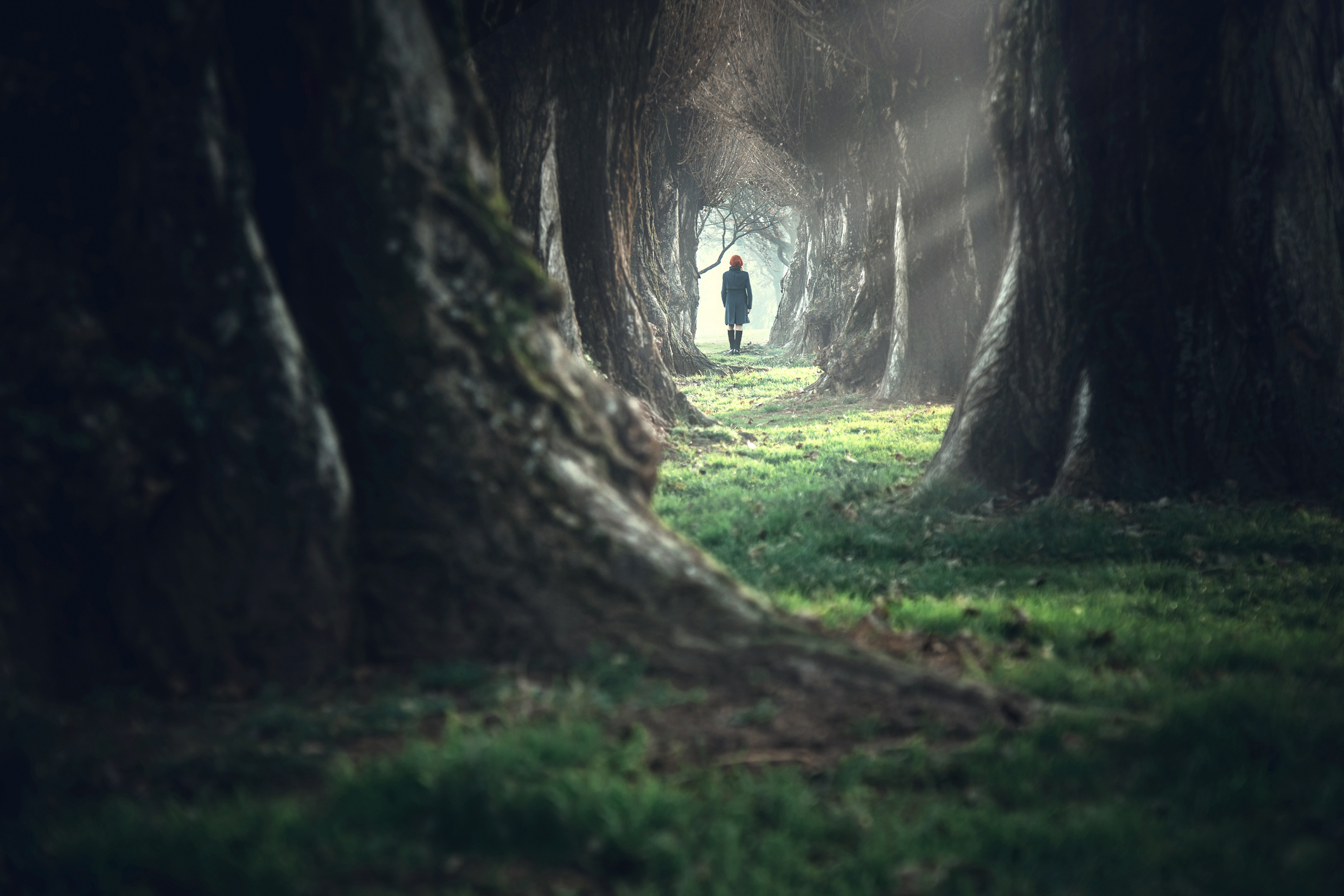 Photo by francescoch/iStock / Getty Images