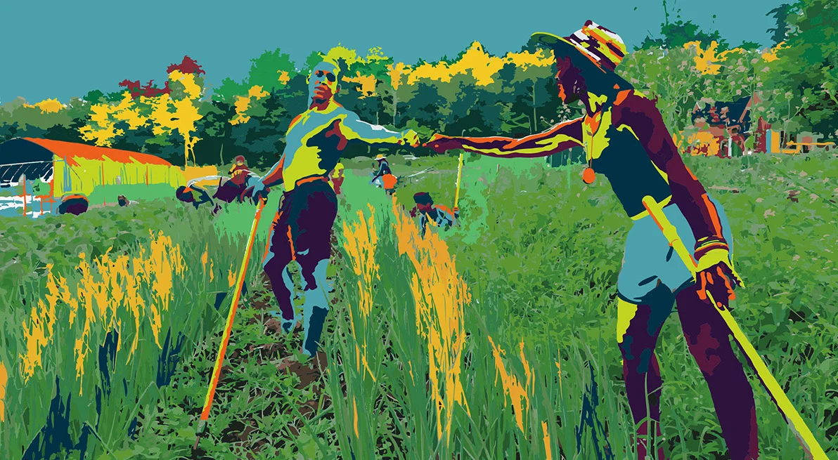 FarmingWhileBlack_cover_lores cropped.jpeg