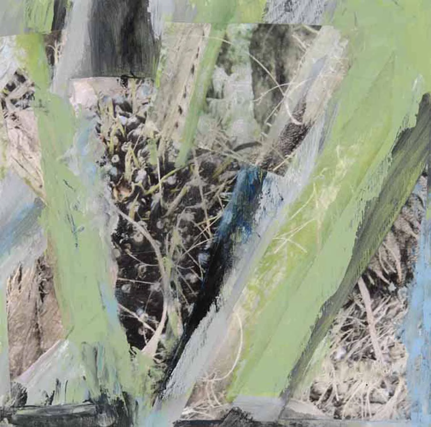 Arbre no.24 / Tree no.24