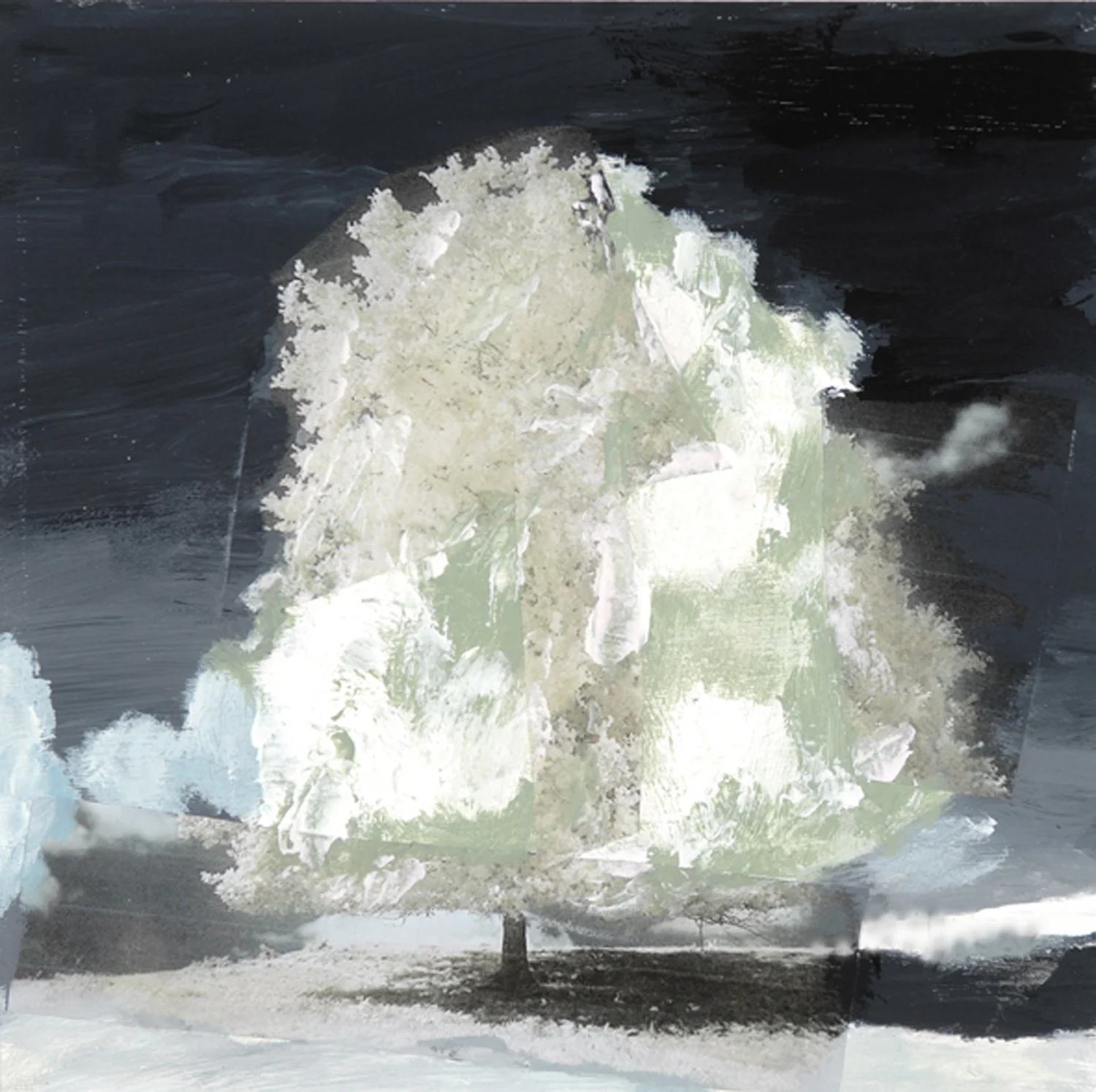 Arbre no.26 / Tree no.26