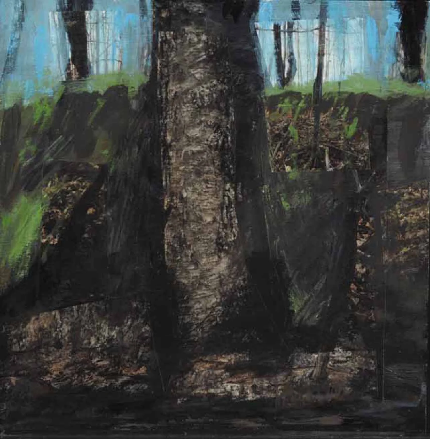 Arbre no.32 / Tree no.32