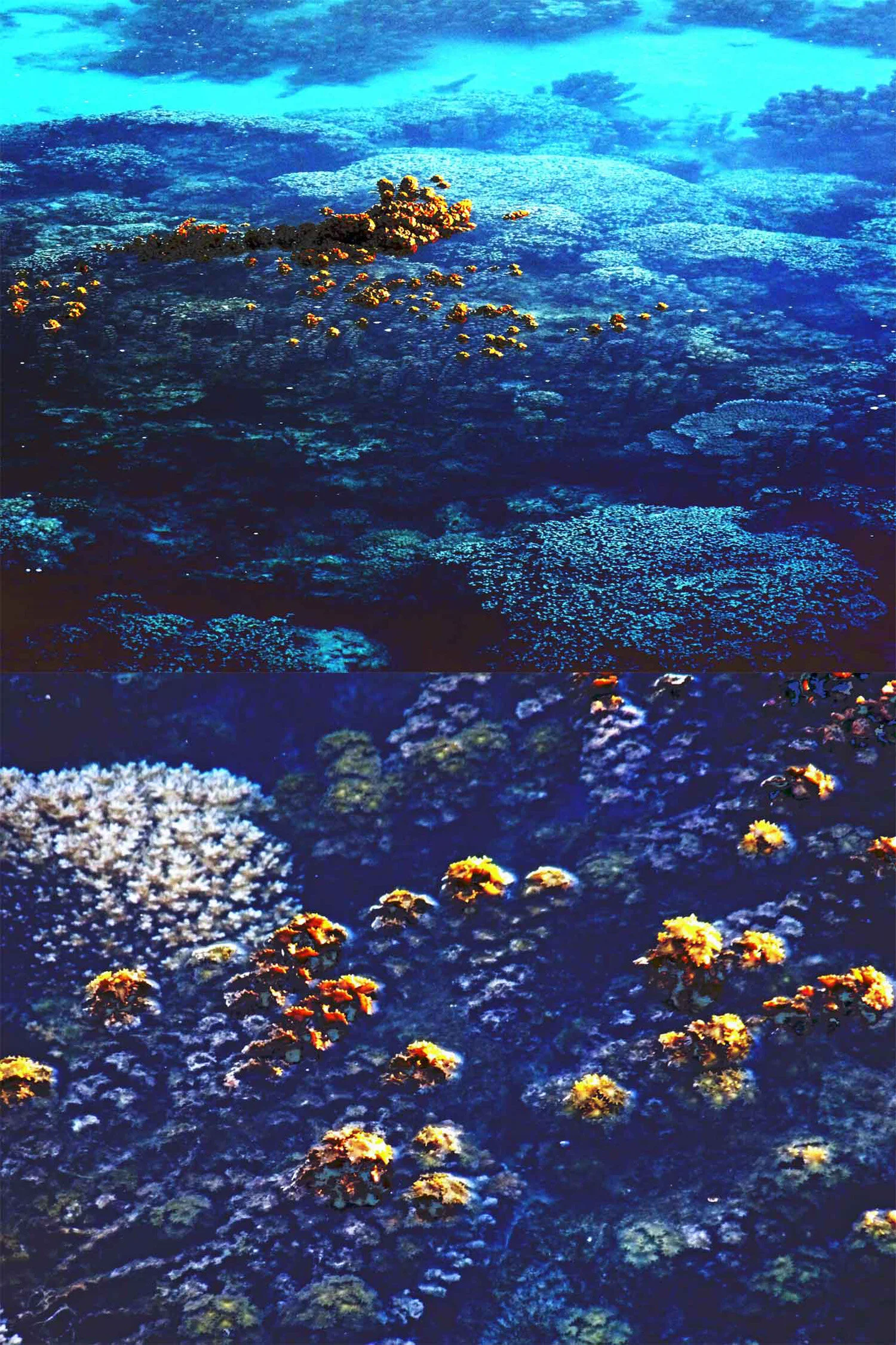 Taking a Breath No.2