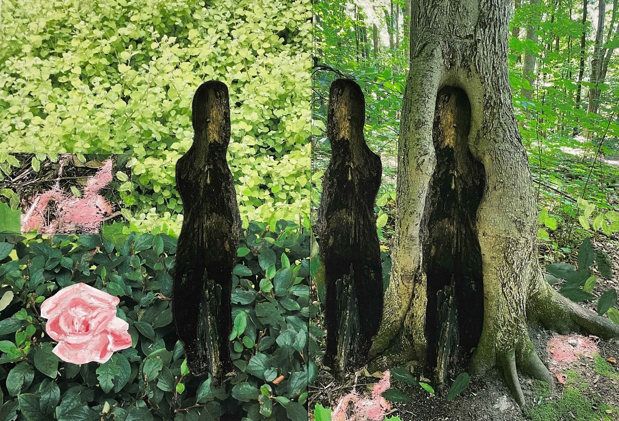 Raoul Buffy's Rose \ La rose de Raoul Buffy