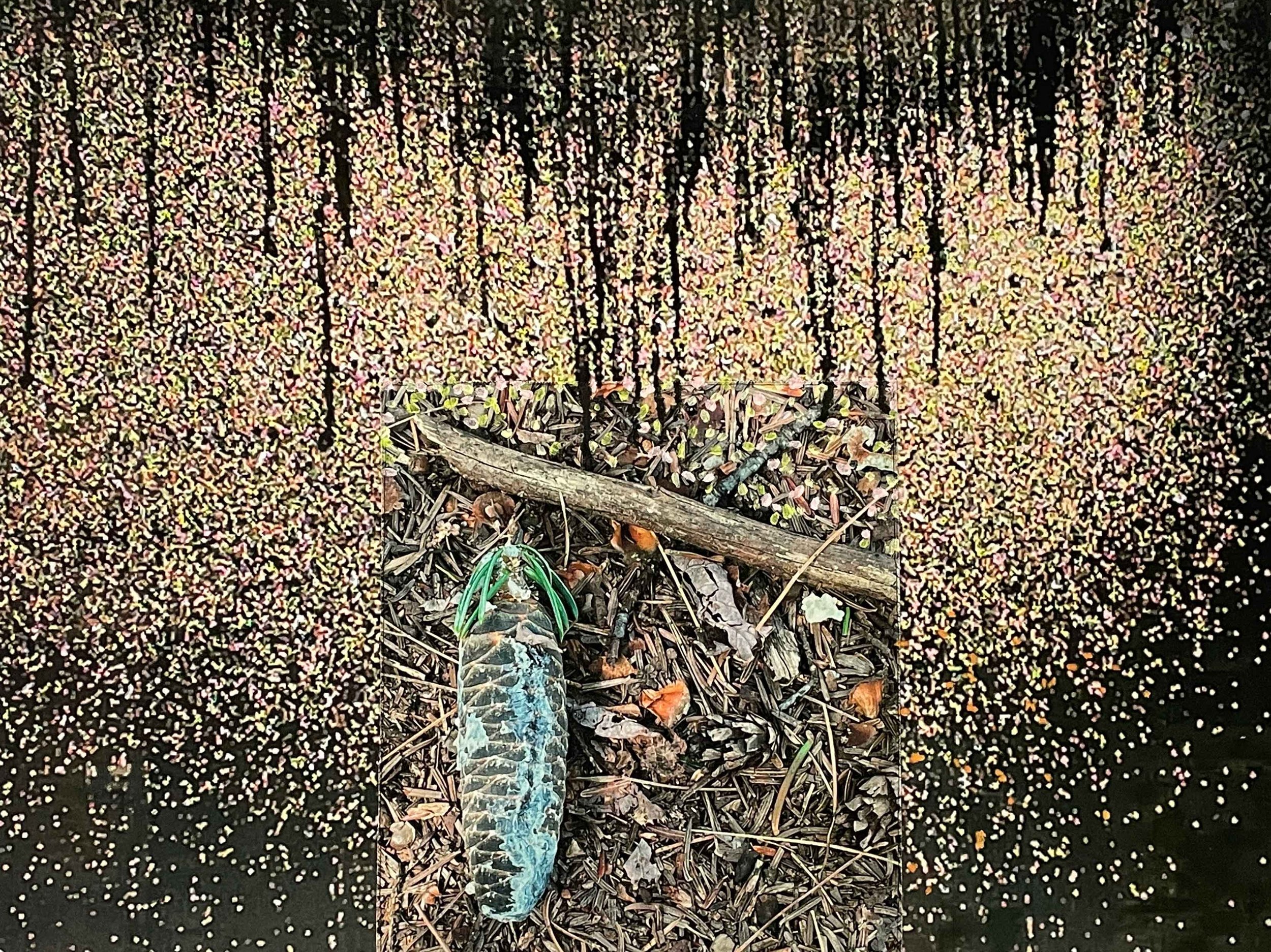 Under the Rain, the Forest \ Sous la pluie, la forêt