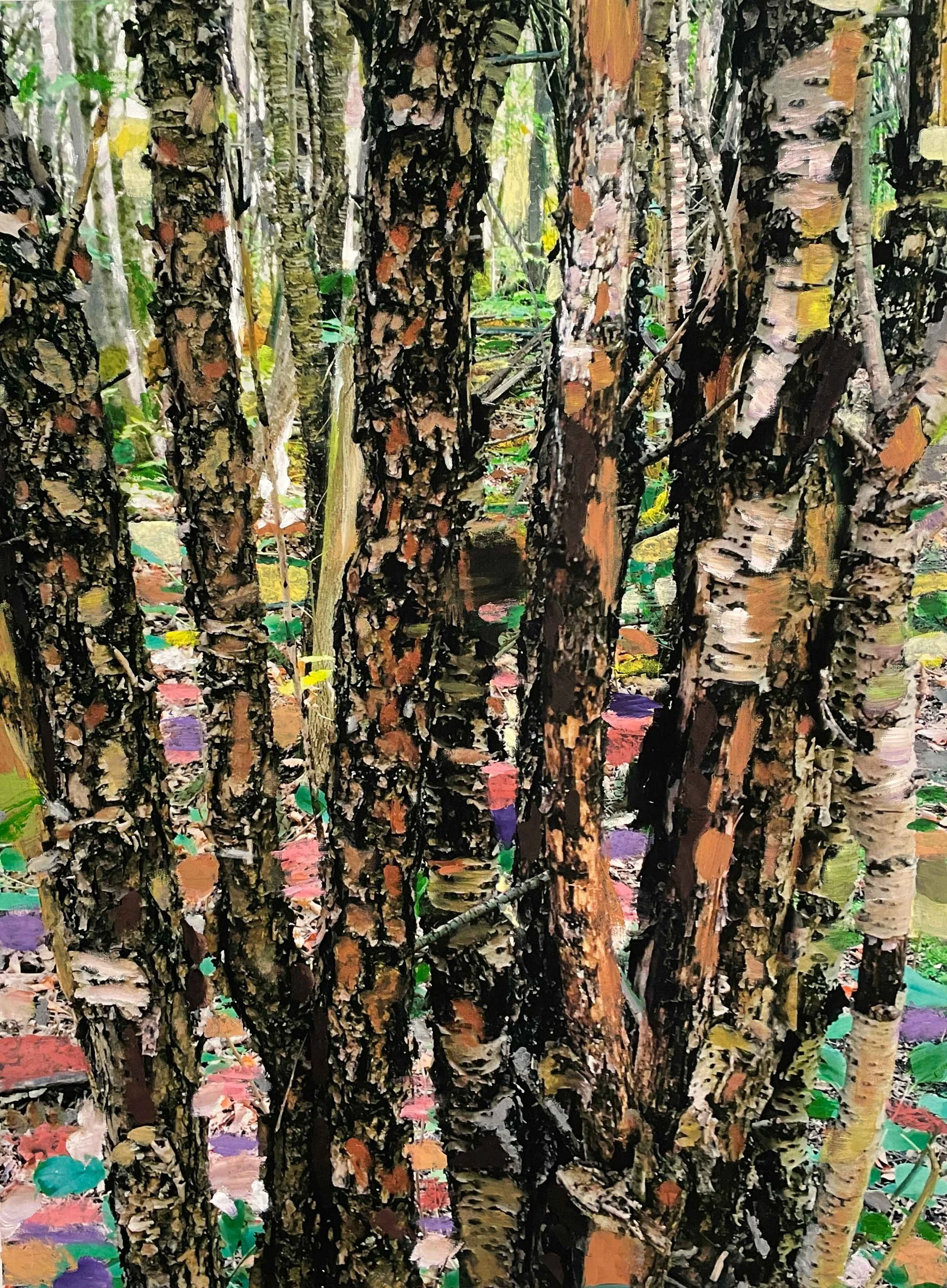 Sensitive Topography \ Topographie sensible