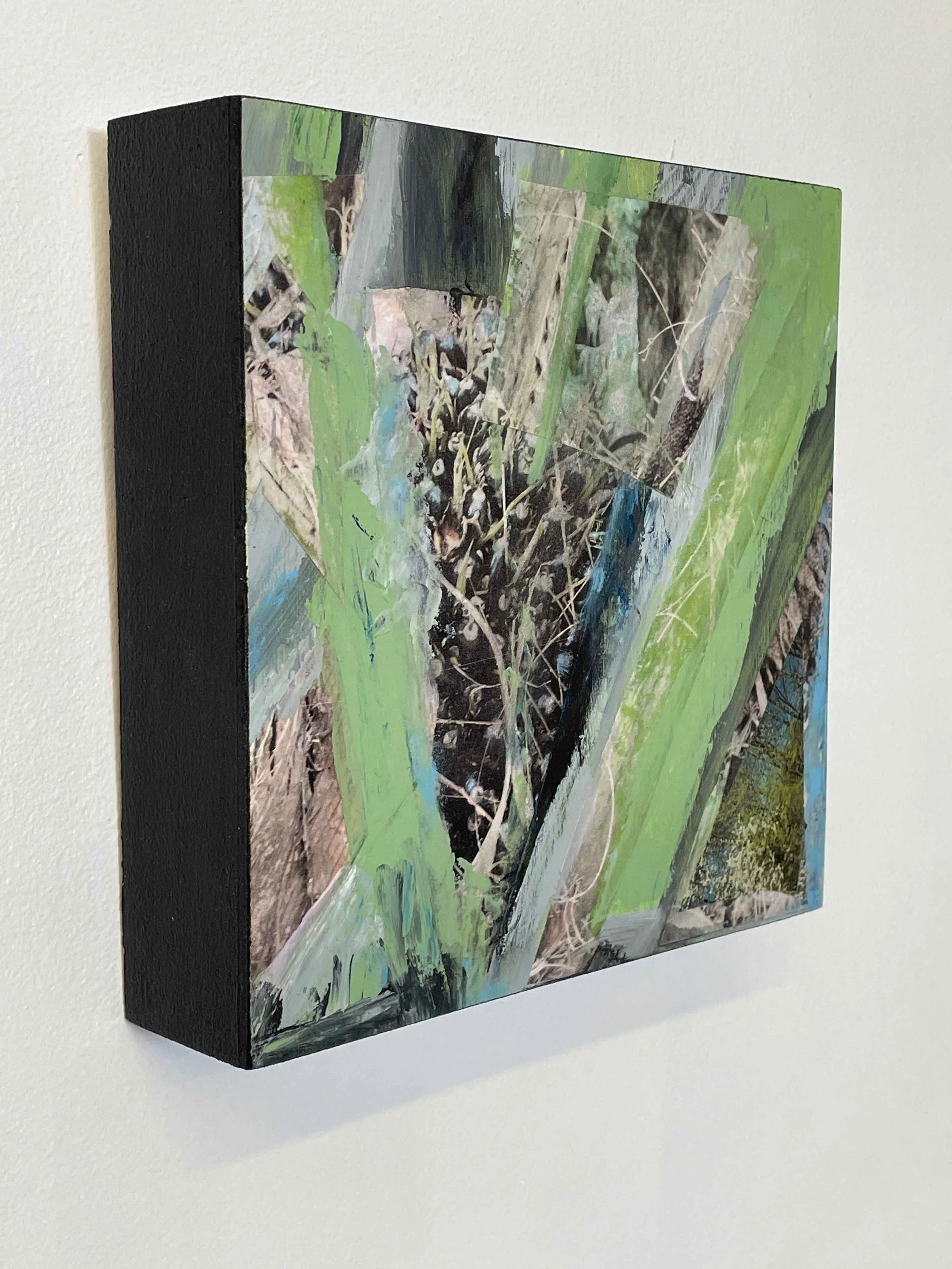 Tree no.24