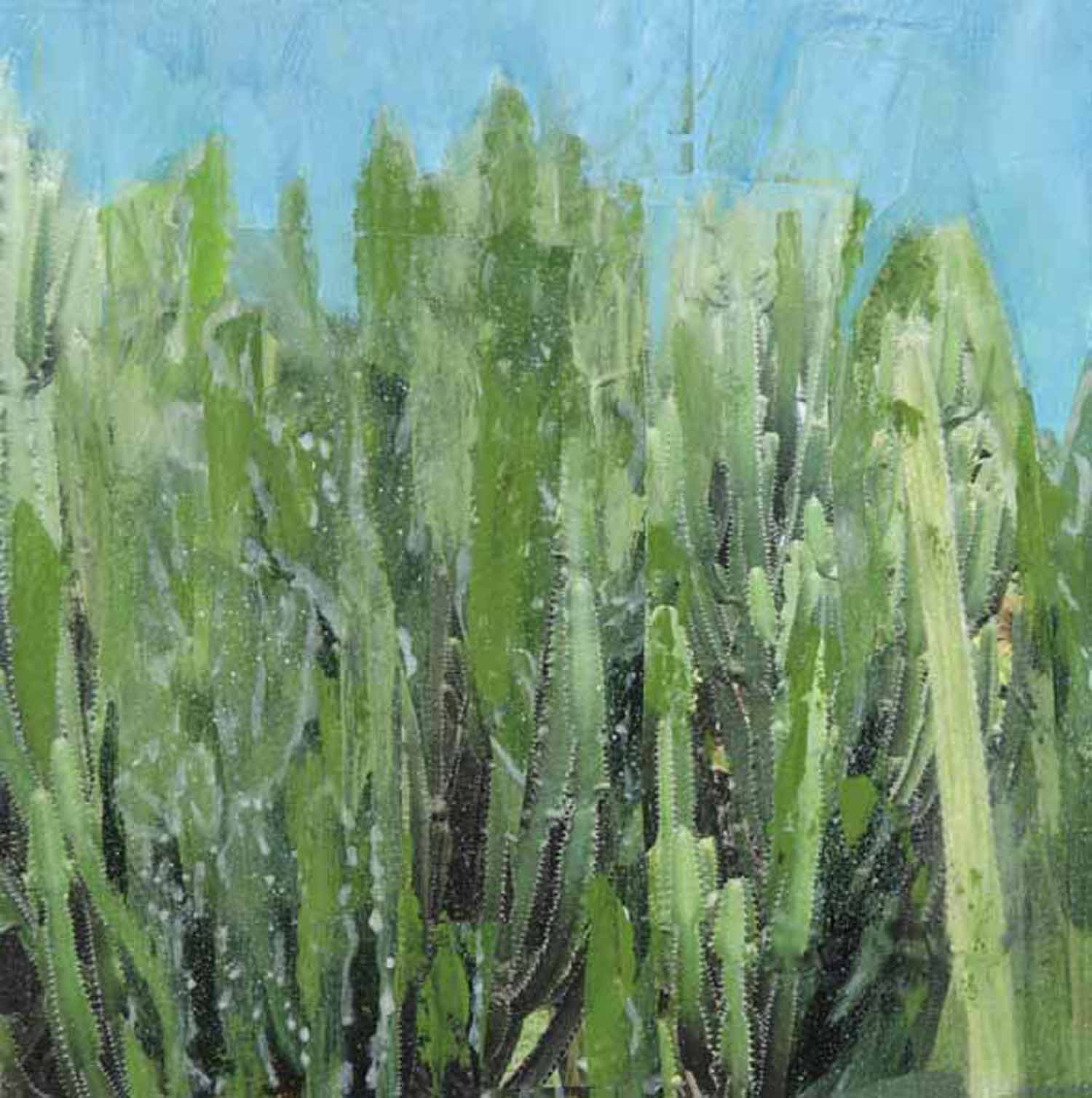 Tree no.29