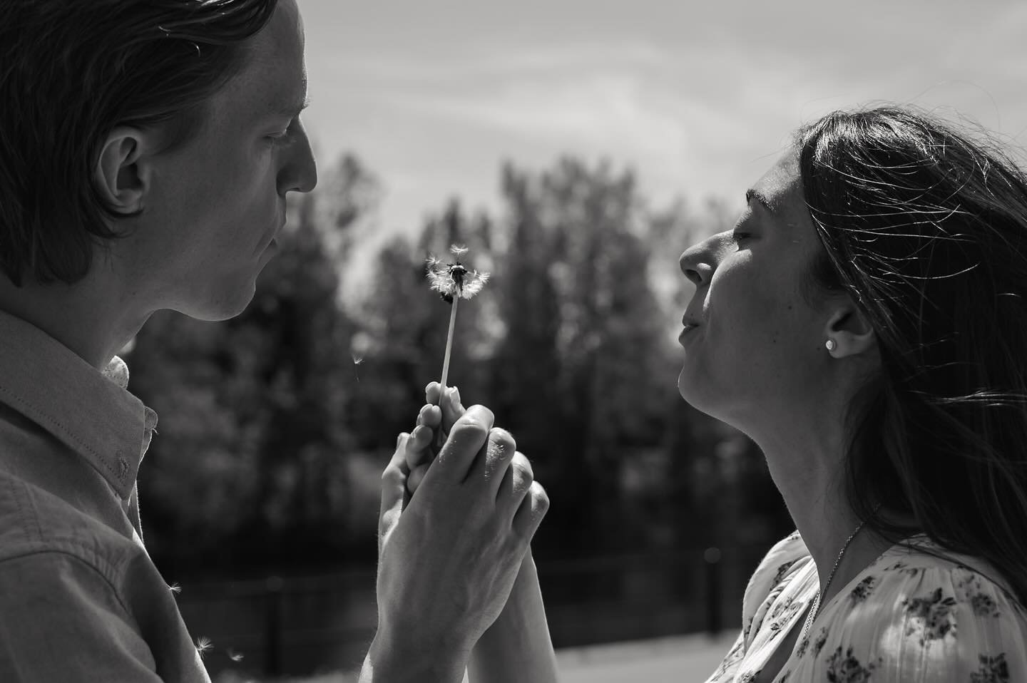 In a moment of serendipity while walking along the canal, M&amp;Z picked up a dandelion to share. It is said that these charming floral weeds symbolize hopes, dreams, wishes, and the ability to overcome adversity, not to mention resilience, renewal, 