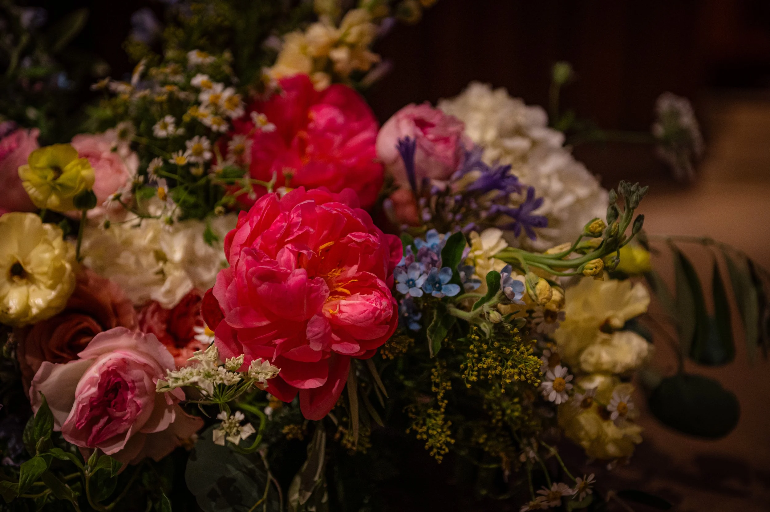 Charkar-destination-wedding-photographer-montreal-valerie-rosen-photography-0693.jpg