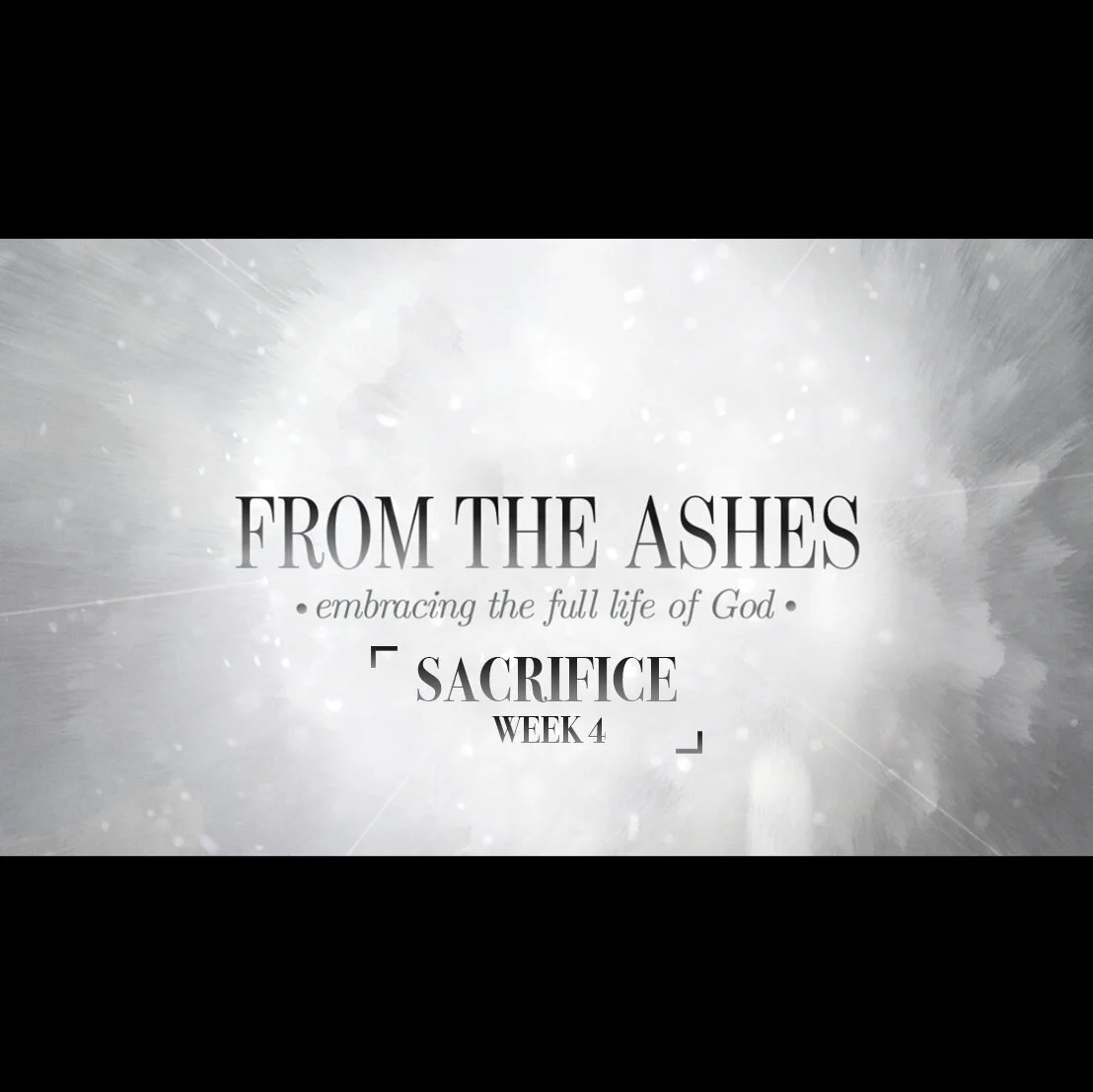 From the Ashes - Week 4
