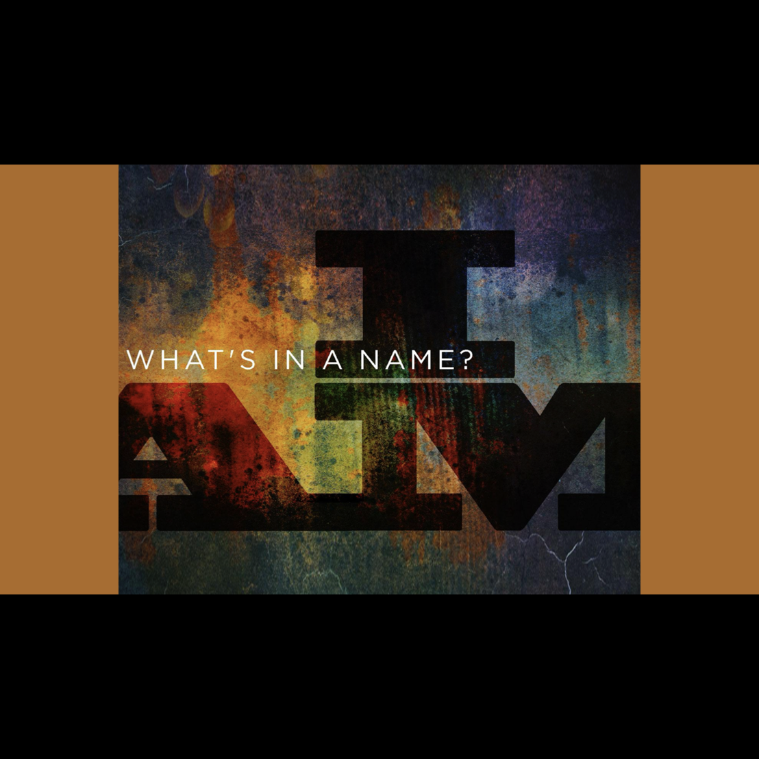 What's In a Name | Week 9