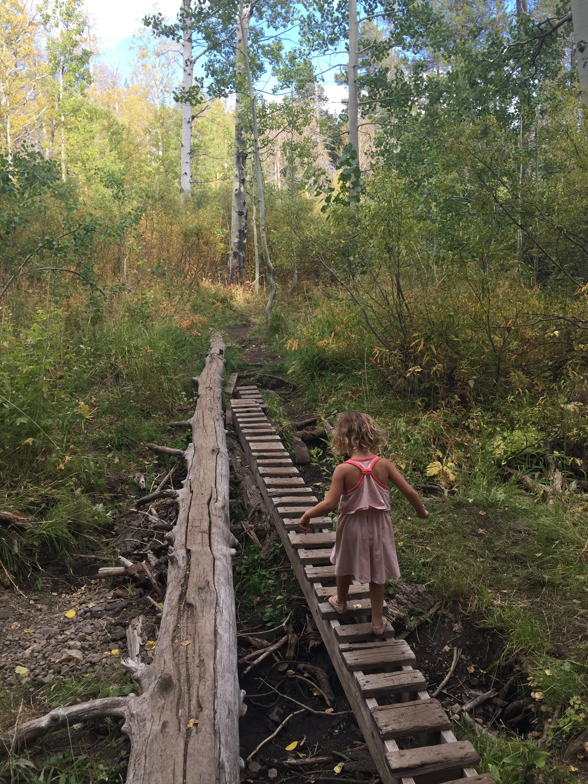 Fall Picnic at Page Meadows