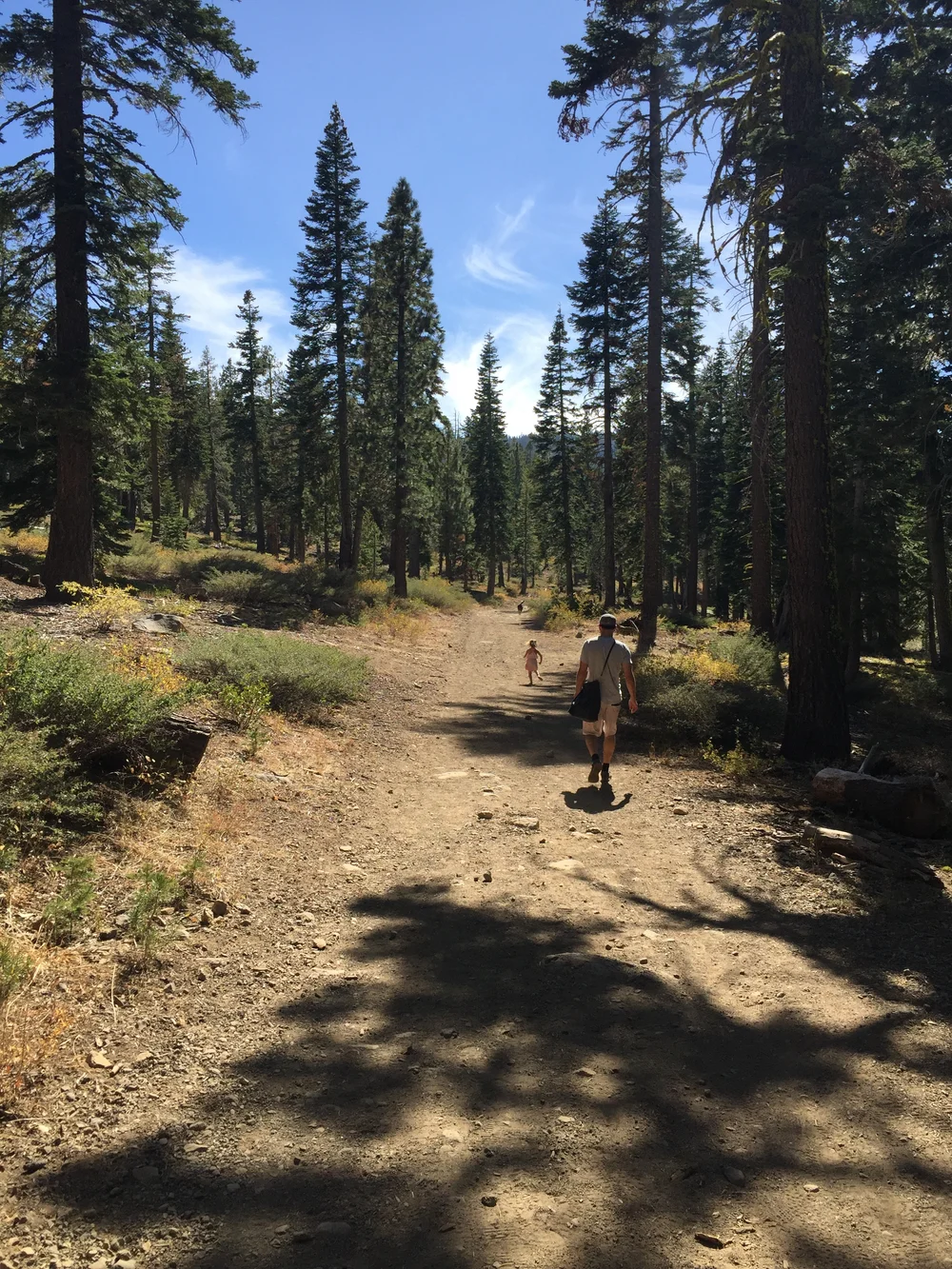 On the way to the meadow