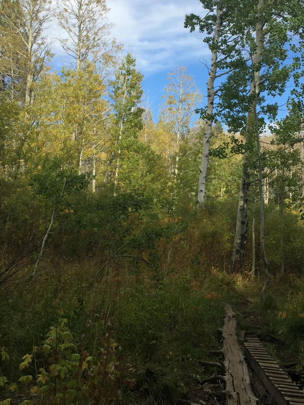 And there they are...