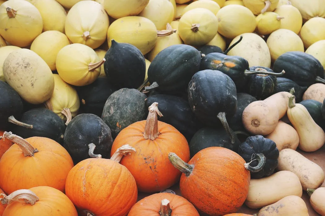 What to Do With All This Winter Squash