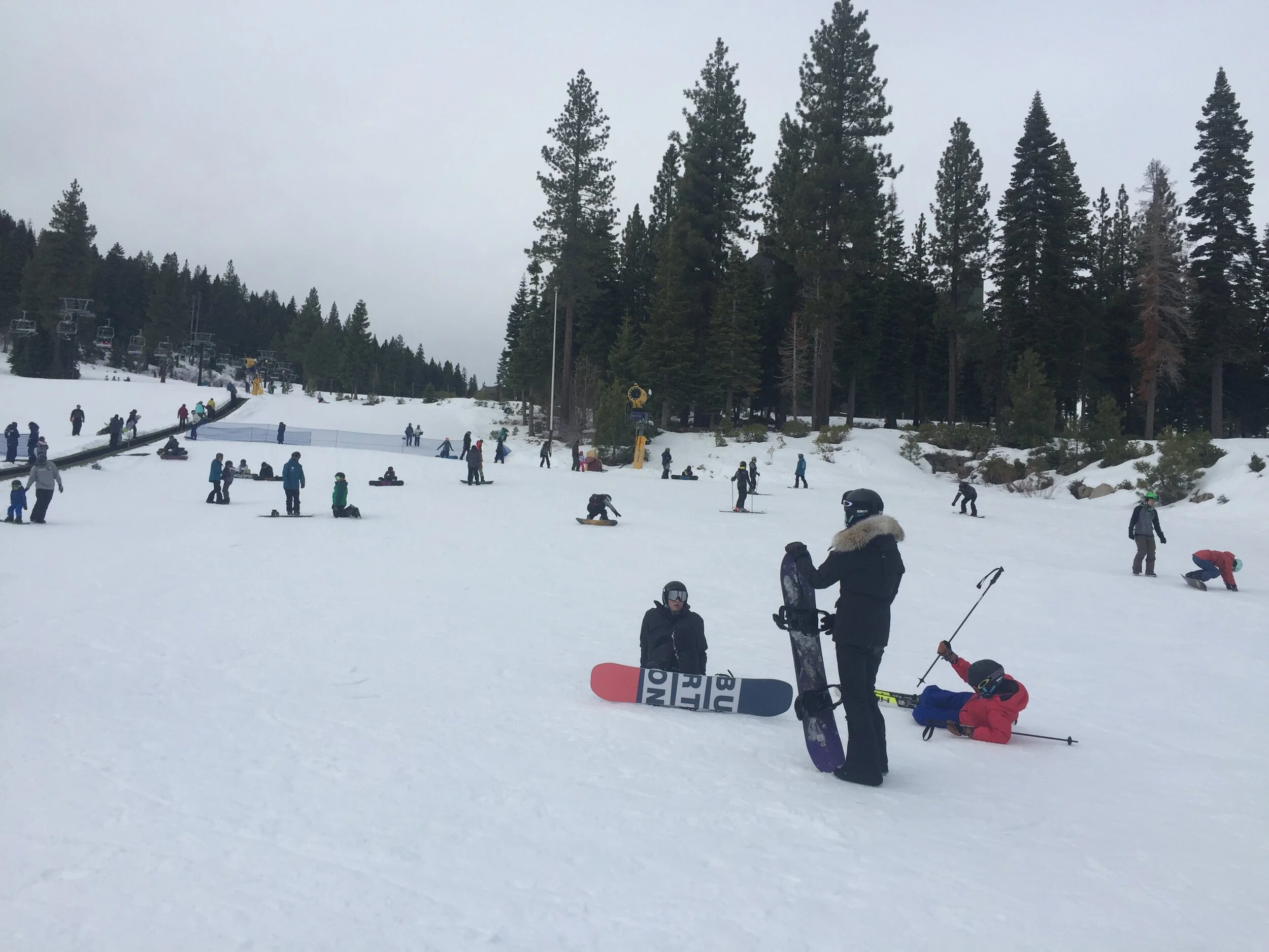 Will the New Year Bring a Polar Coaster or a Ho-Hum Snow Year Warmed up by El Niño? 