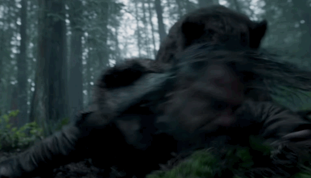 2797169_orig.gif