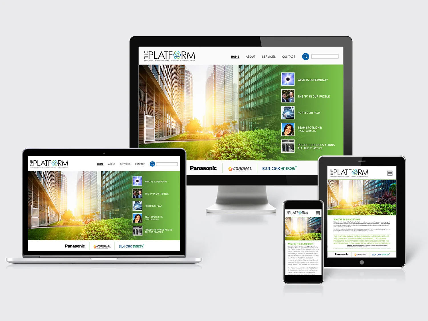   Panasonic  Panasonic Energy Solutions Division Newsletter: The Platform 