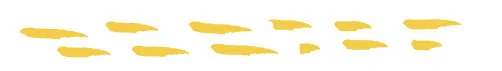 small dots .jpg