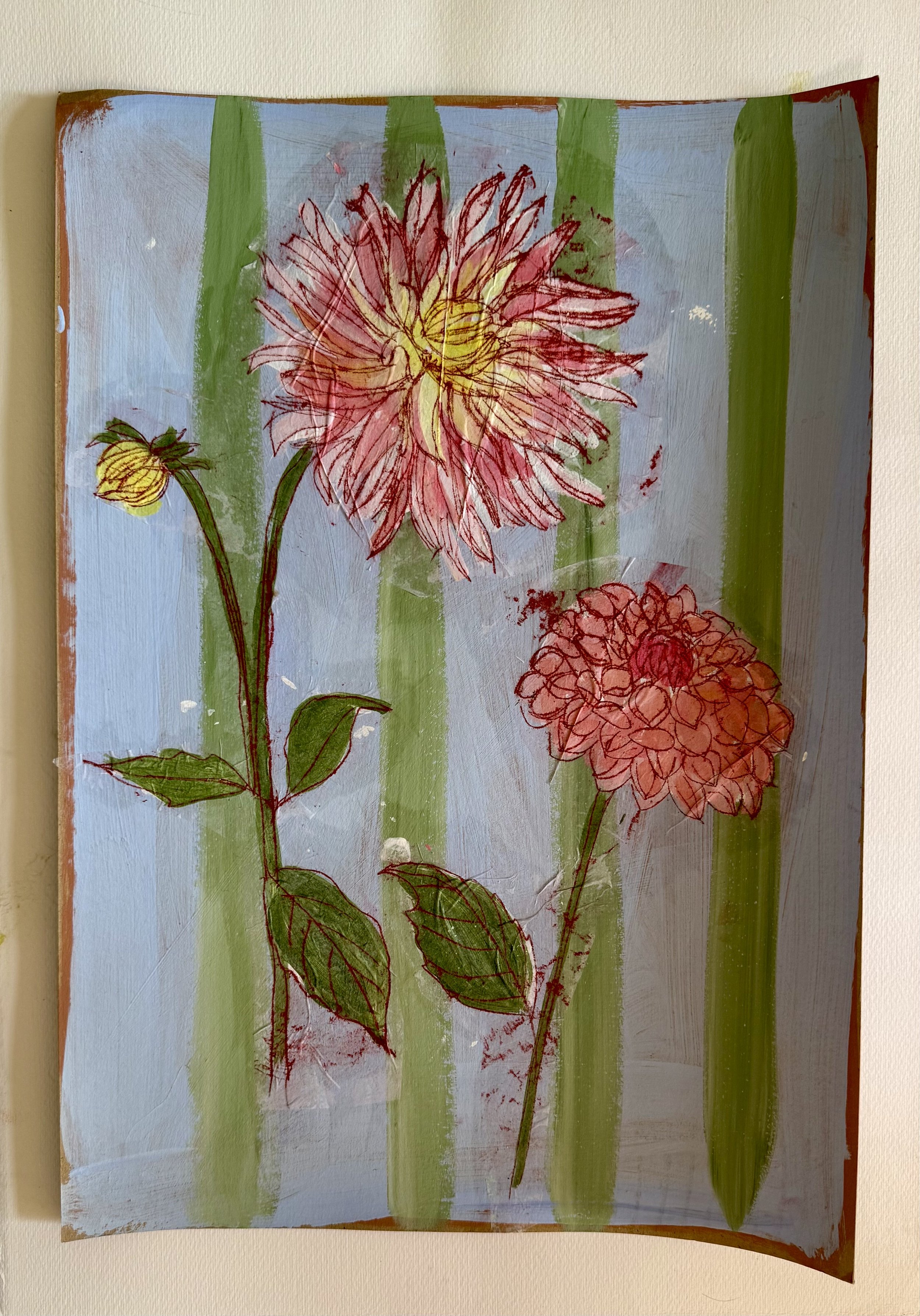 Dahlia 3