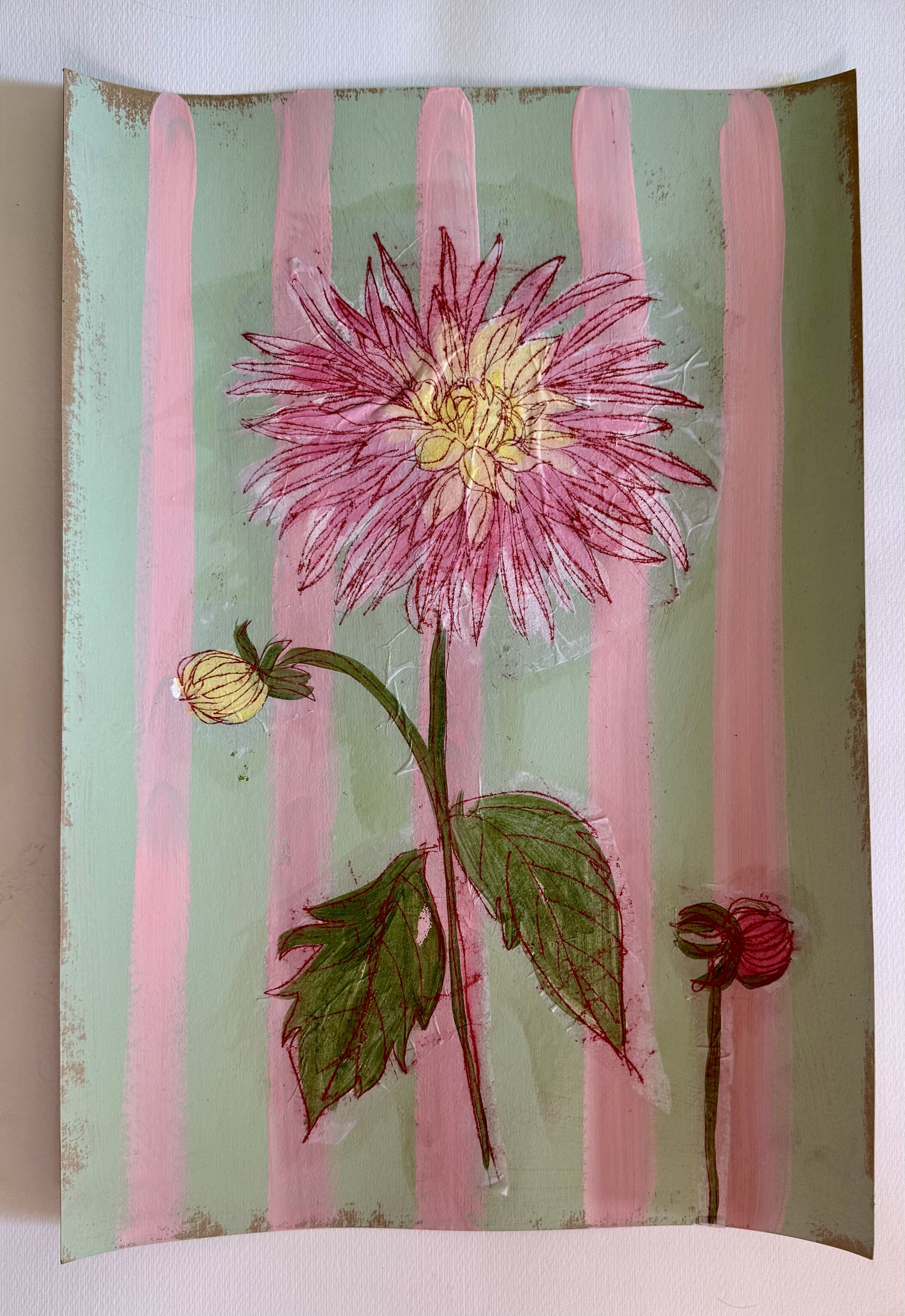 Dahlia 1
