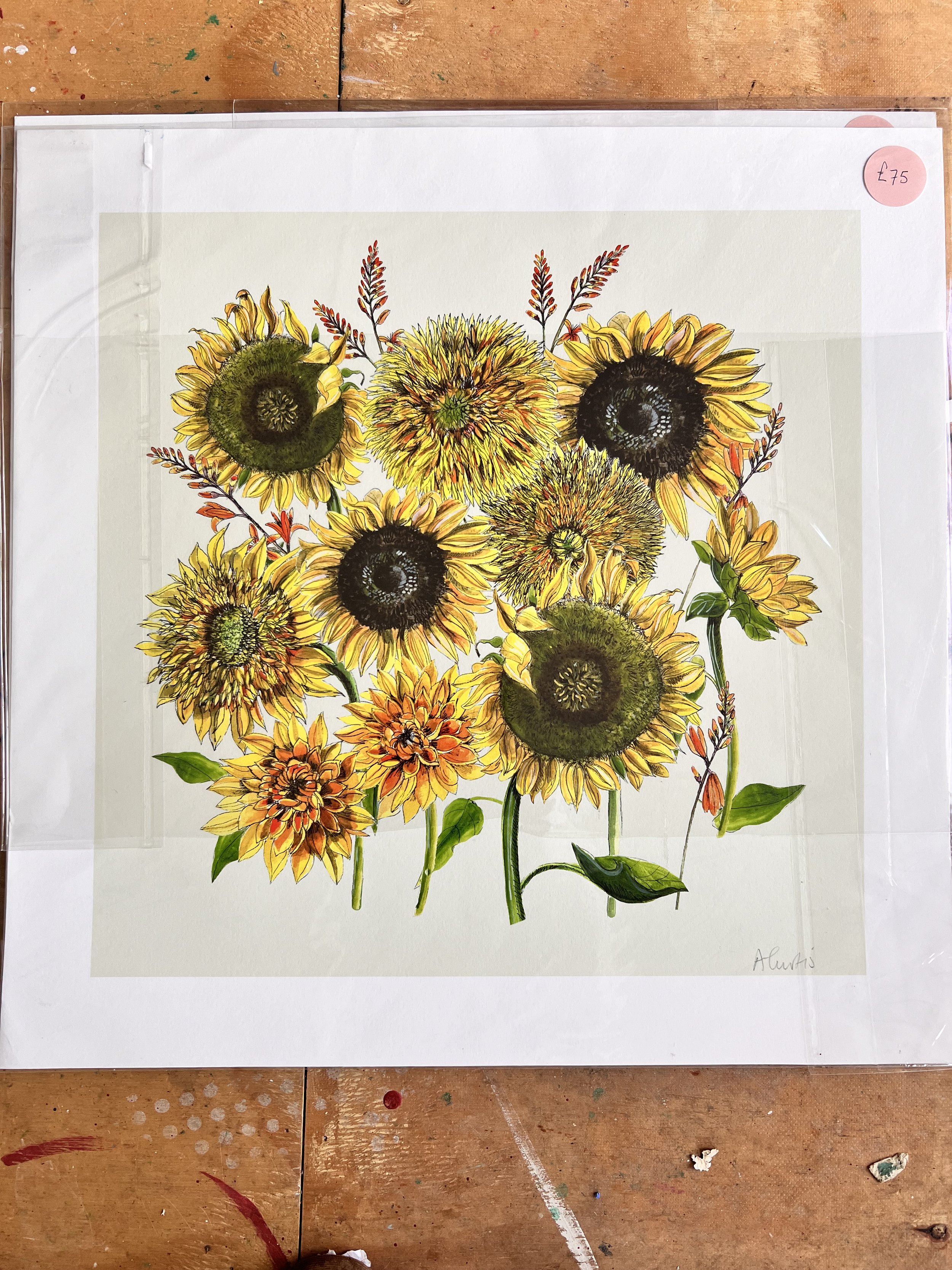 small sunflowers 50x50cm