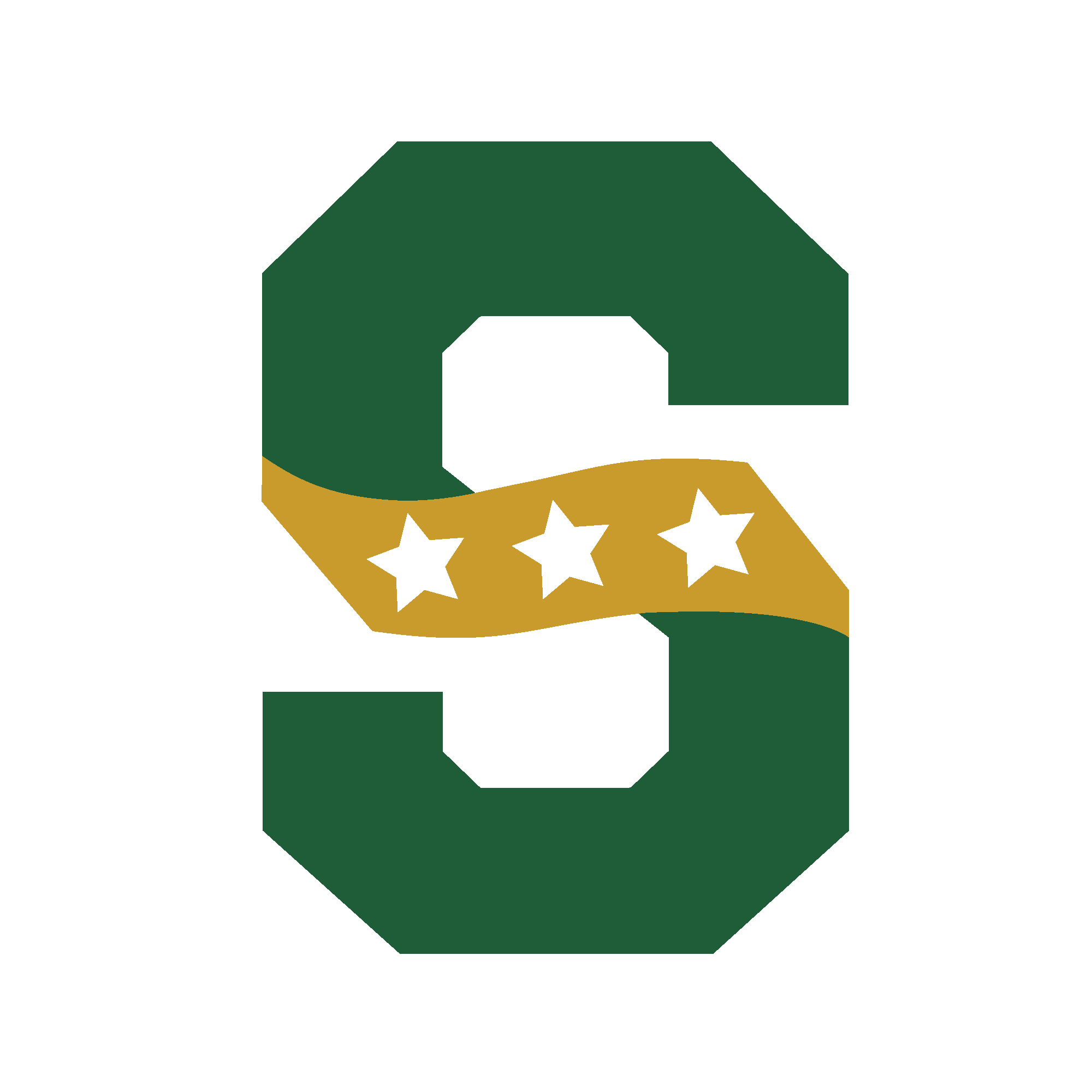 STEVENSON HIGH SCHOOL "S" MARK