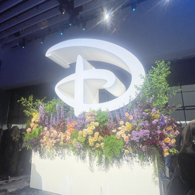 IMG_8458 Medium.jpeg