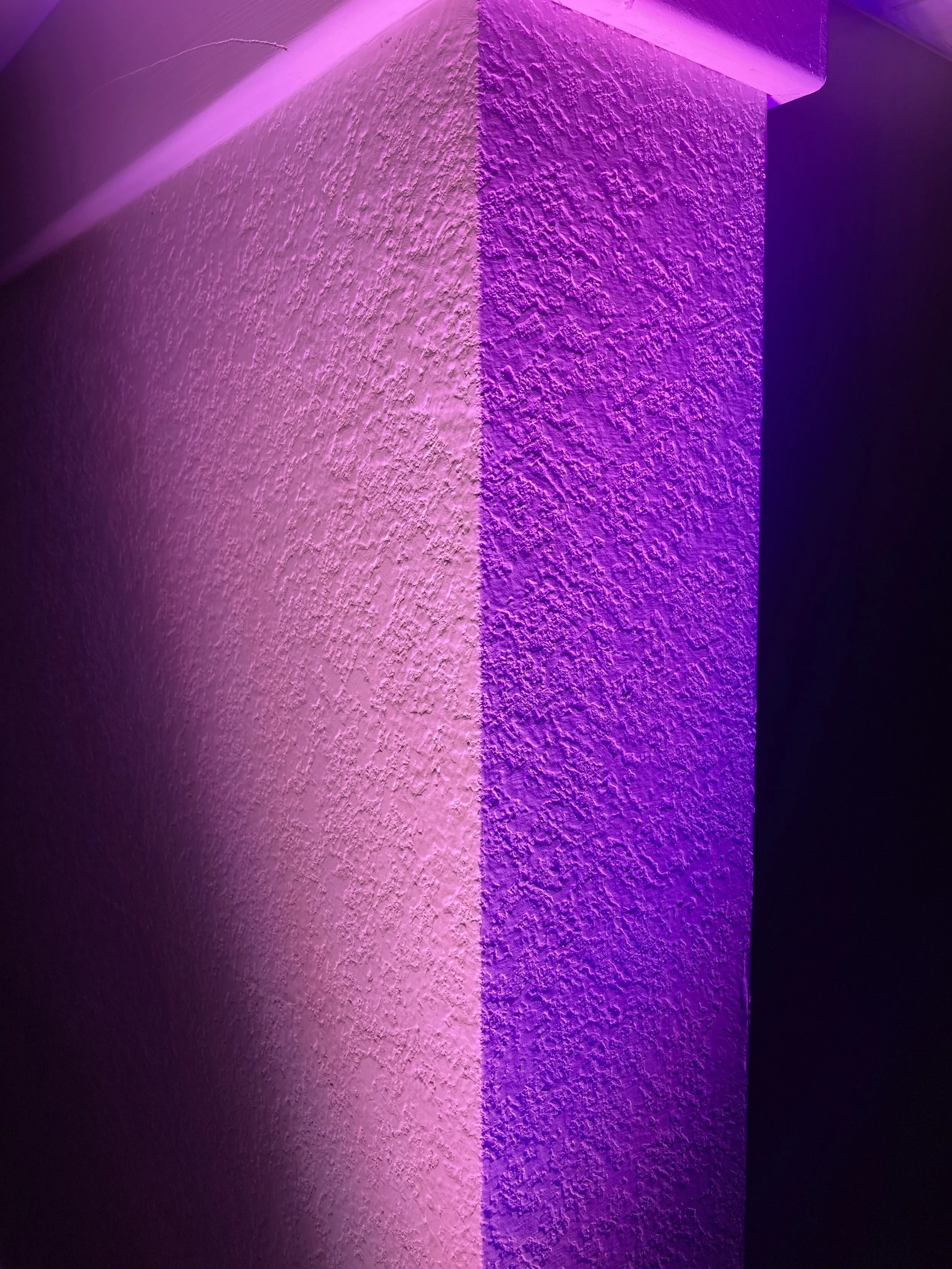 Our 5 Most Popular Wedding Uplight Color-Combos
