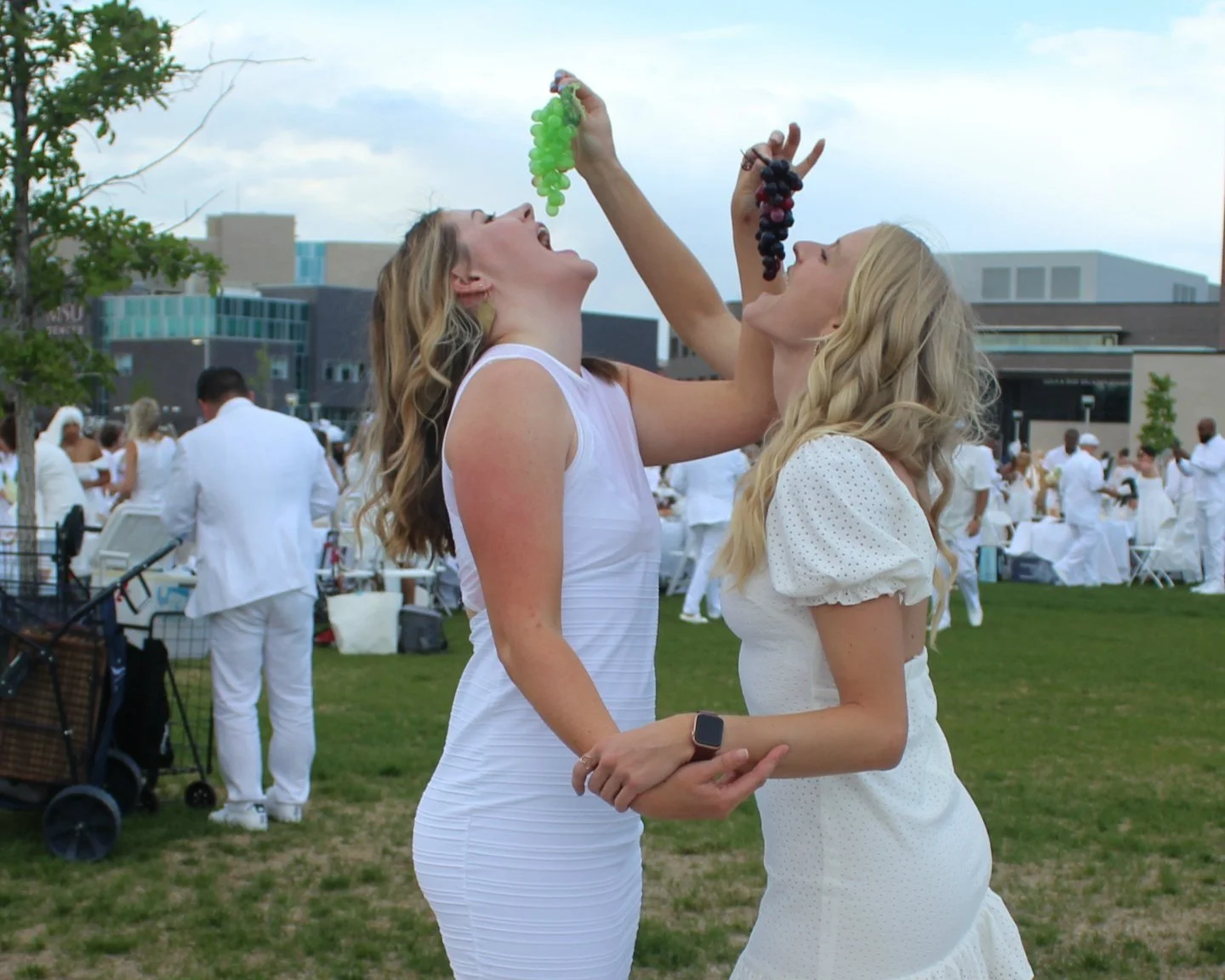 Exclusive Photos from Denver's First Dîner en Blanc!