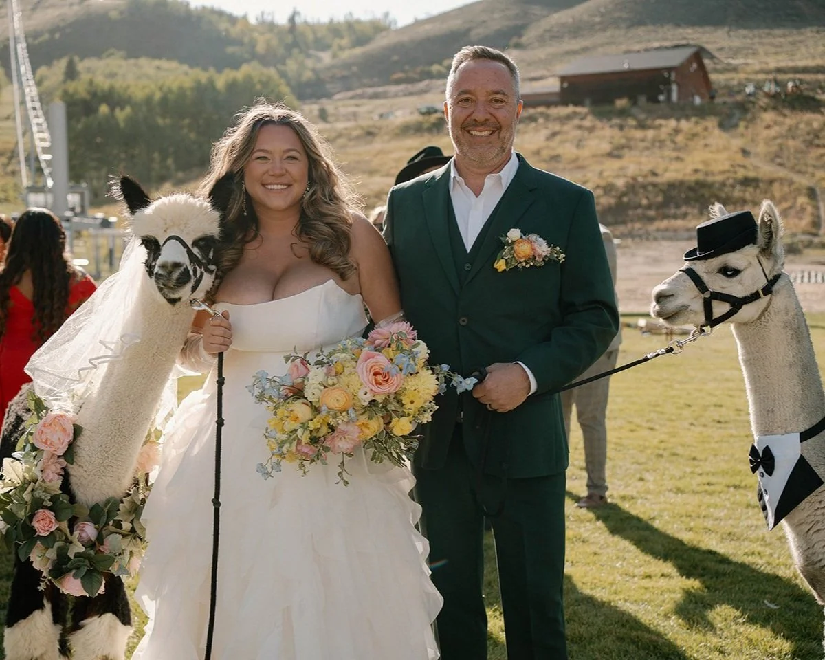 Alpacas, Altitude, and All-Out Dancing: A Very Colorado Wedding Bash
