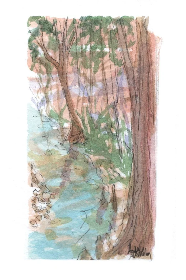 Howell Creek. Ink & Watercolor. 3” x 2” Hahnemühle 100% mould-made watercolor paper.