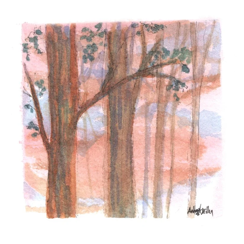 Mead Pine IV. Ink & Watercolor. 2.75” x 2.75” Hahnemühle 100% mould-made watercolor paper.