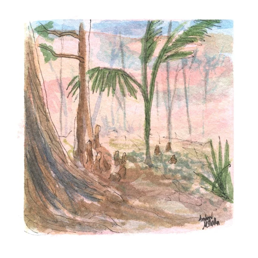 Mead Marsh. Ink & Watercolor. 2.75” x 2.75” Hahnemühle 100% mould-made watercolor paper.