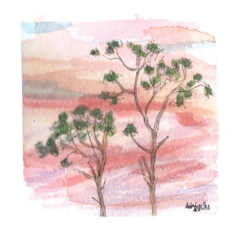 Mead Pine I. Ink & Watercolor. 2.75” x 2.75” Hahnemühle 100% mould-made watercolor paper.
